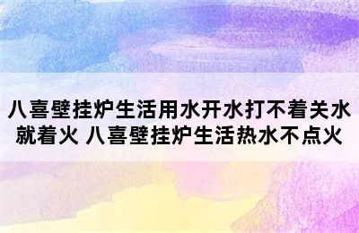 八喜壁挂炉生活用水开水打不着关水就着火 八喜壁挂炉生活热水不点火